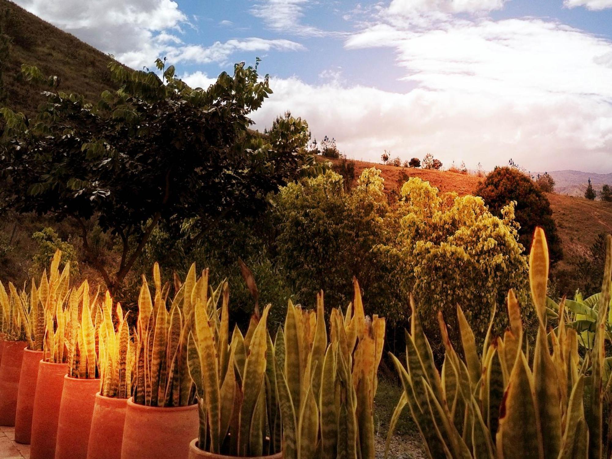 Hotel Alma Villa de Leyva Ngoại thất bức ảnh